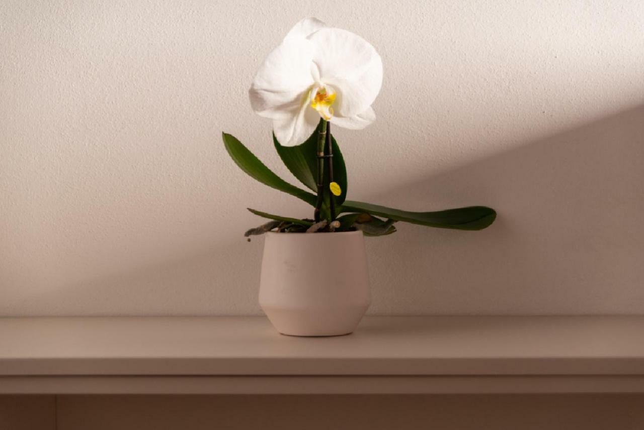 Apartament Like A Miracle Wenecja Zewnętrze zdjęcie
